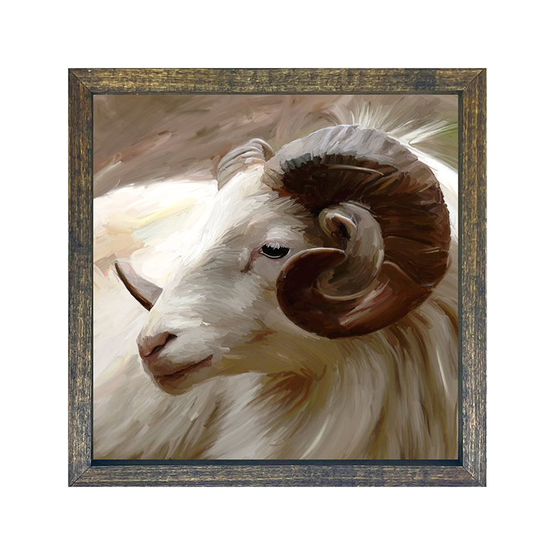 Ram