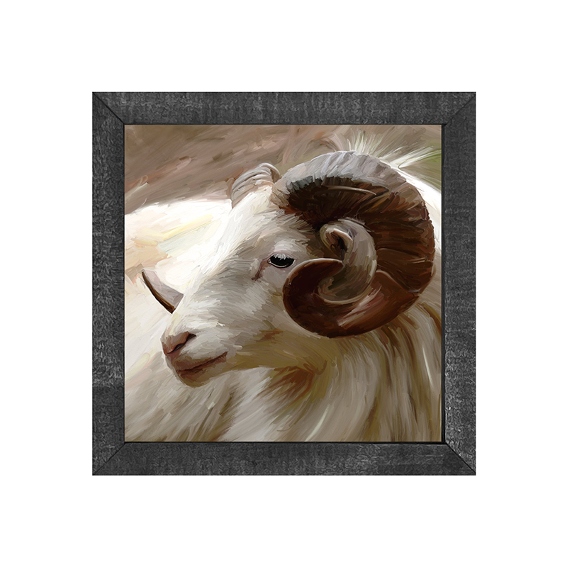 Ram