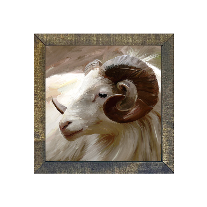 Ram