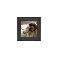 Gallery Frame