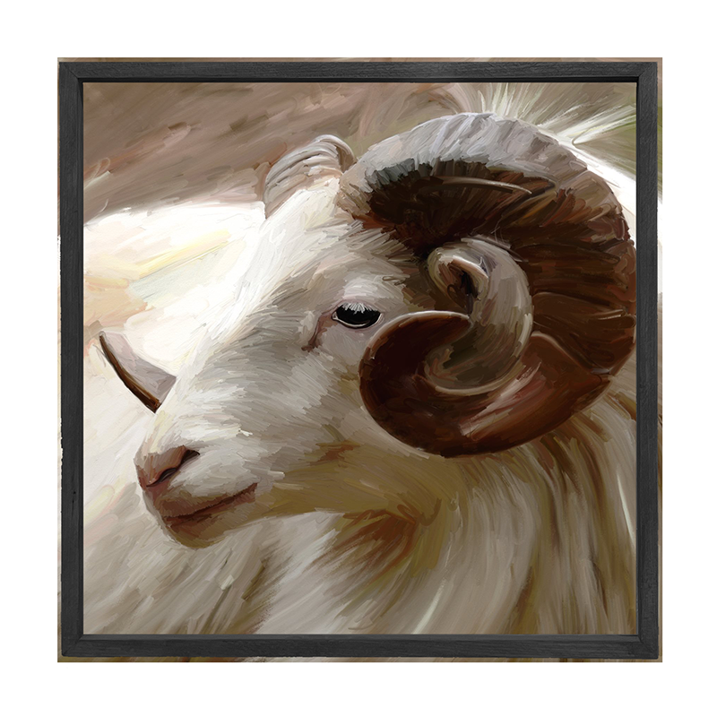 Ram
