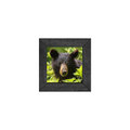 Gallery Frame
