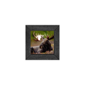 Gallery Frame