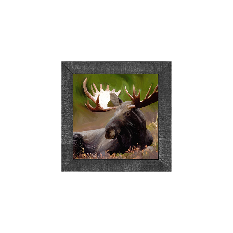 Moose