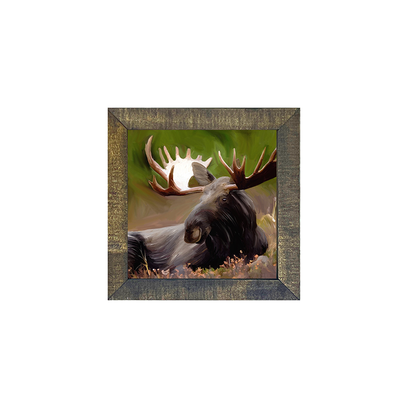 Moose