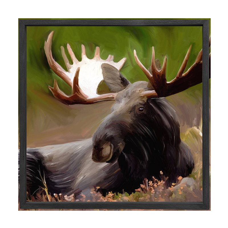 Moose