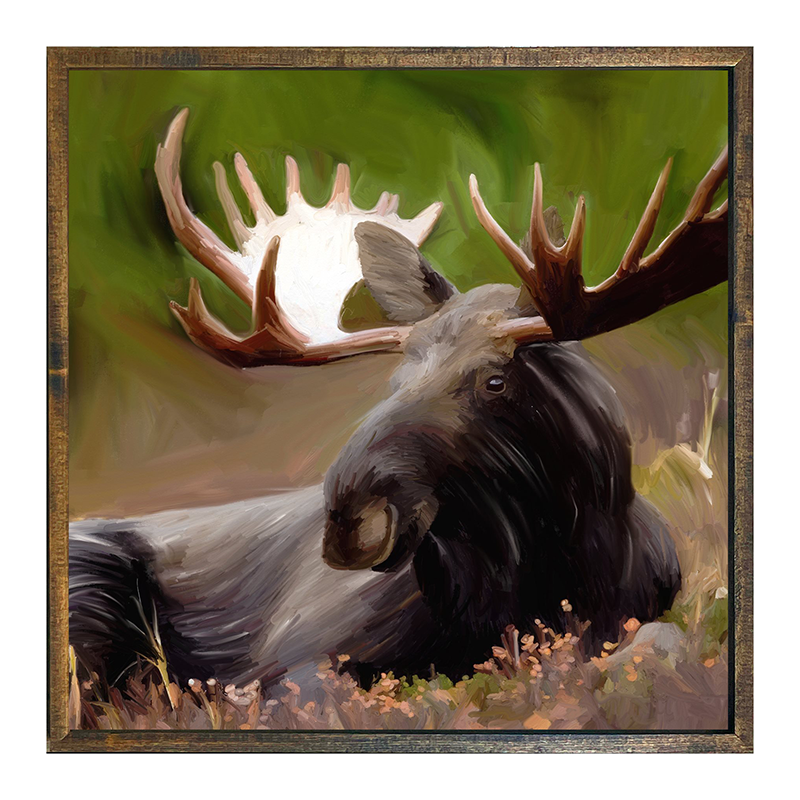 Moose