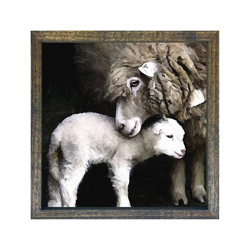 New born sheep
