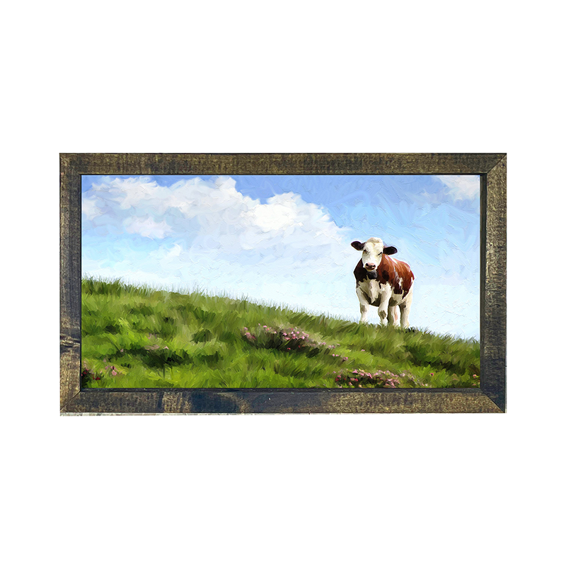 Cow in grass field Horizontal