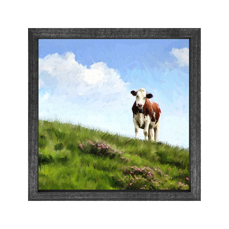 Cow in the grass field