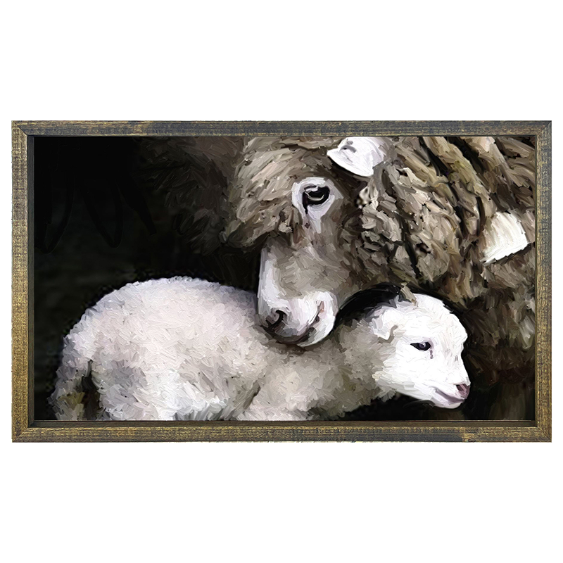 Newborn sheep H