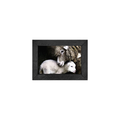 Gallery Frame