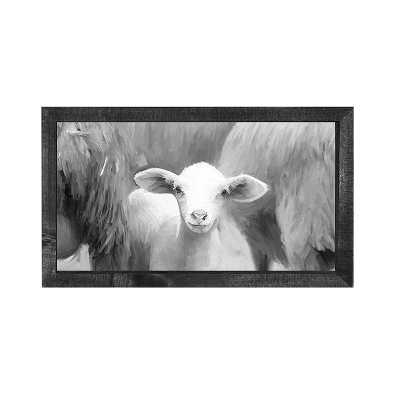 Baby Lamb