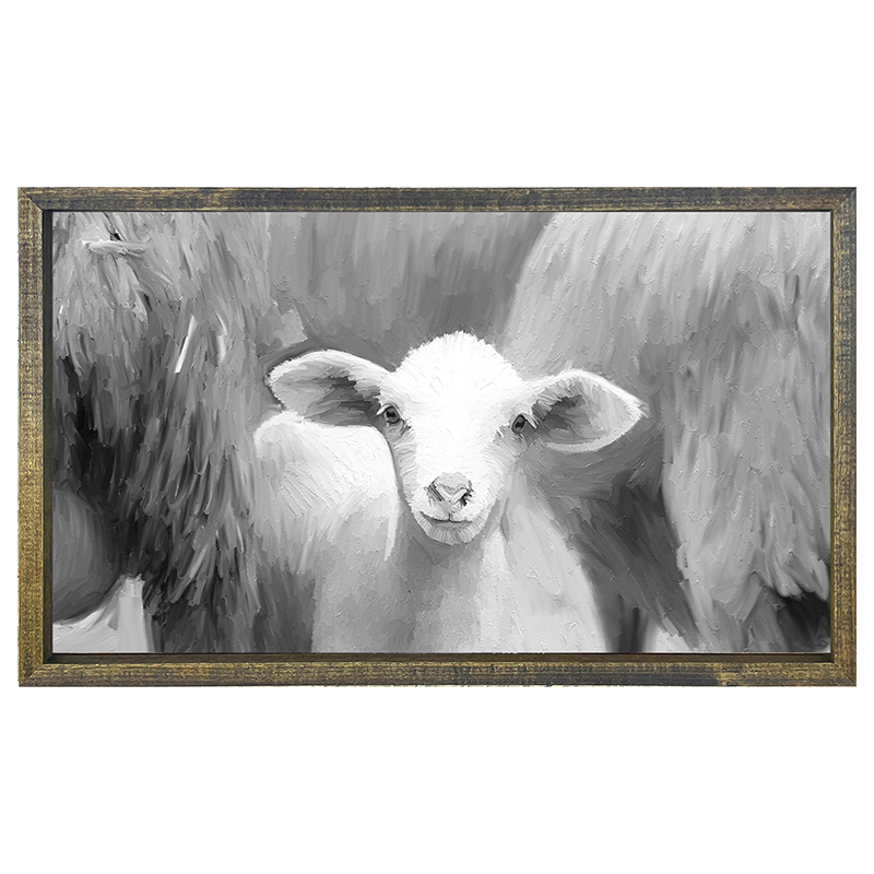 Baby Lamb