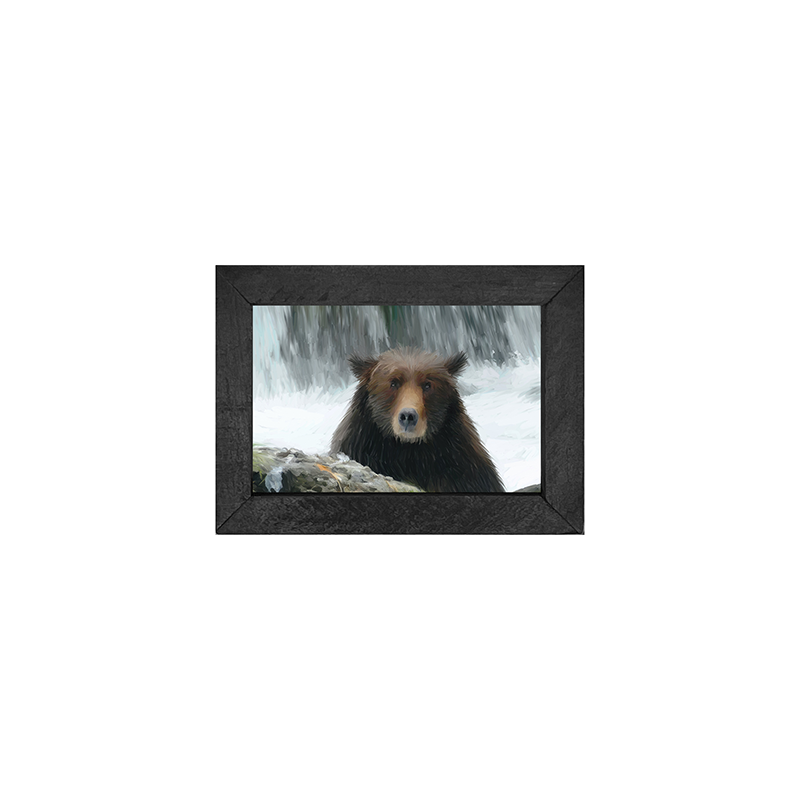 Grizzly