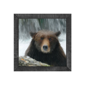 Gallery Frame
