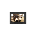 Gallery Frame