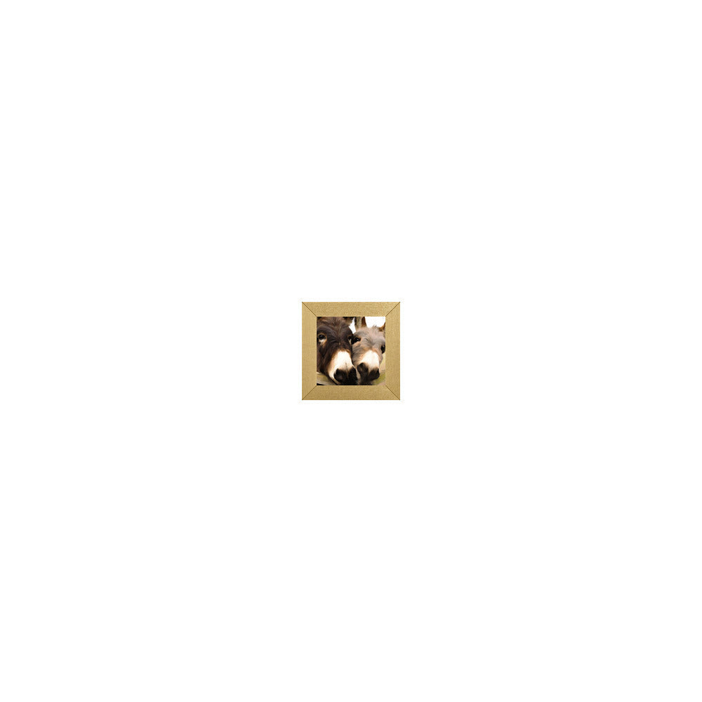 AD-738 in Metallic Gold Gallery Frame, M