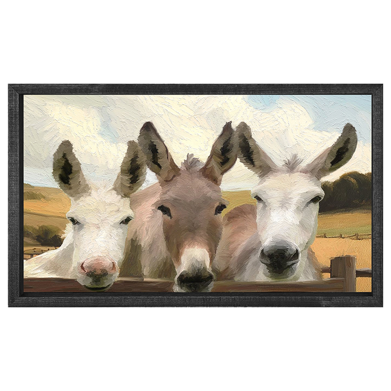 Donkey Friends - Horizontal Frame
