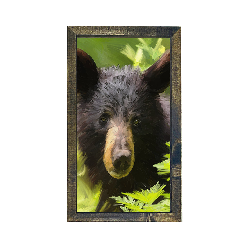 Bear Cub