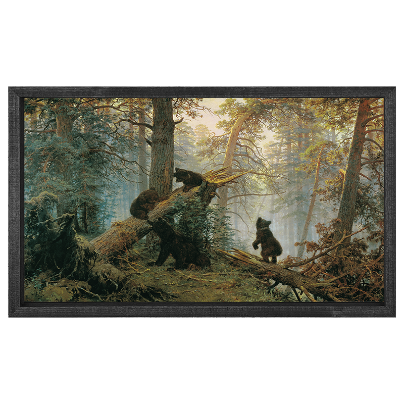 Black Bear Cubs - Horizontal Frame