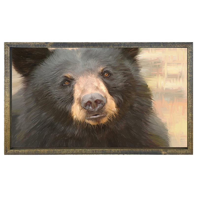 Black Bear