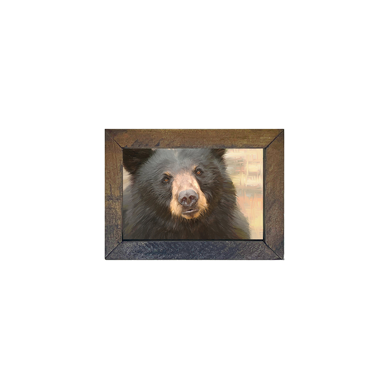 Black Bear
