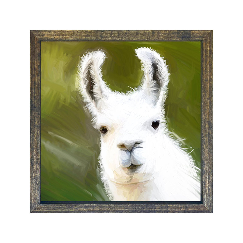 Llama - White