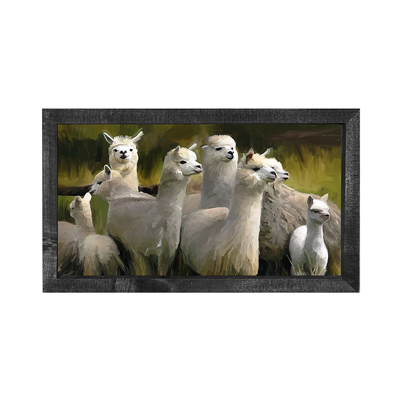 Alpacas -Horizontal
