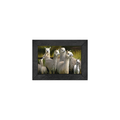 Gallery Frame
