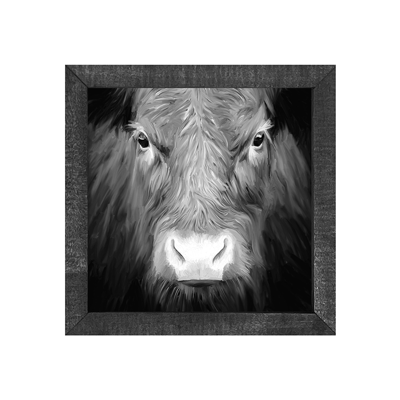 BW Cow