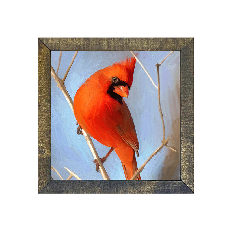 Red Cardinal