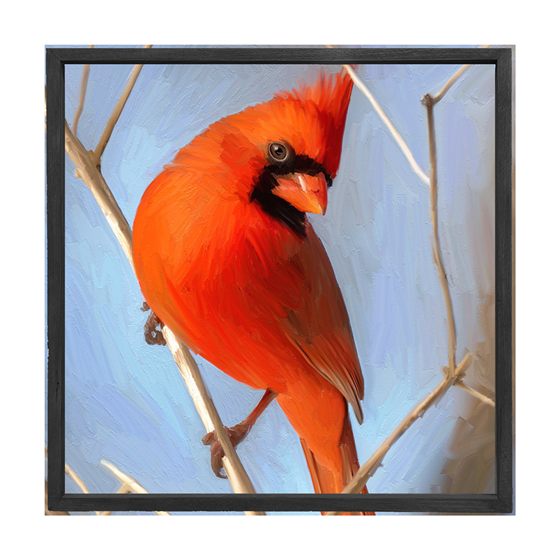 Red Cardinal