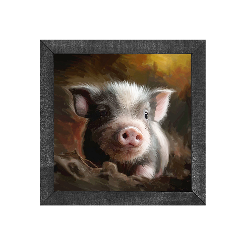 baby pig