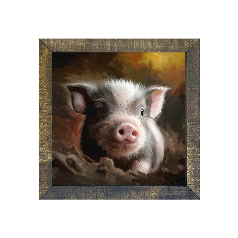 baby pig
