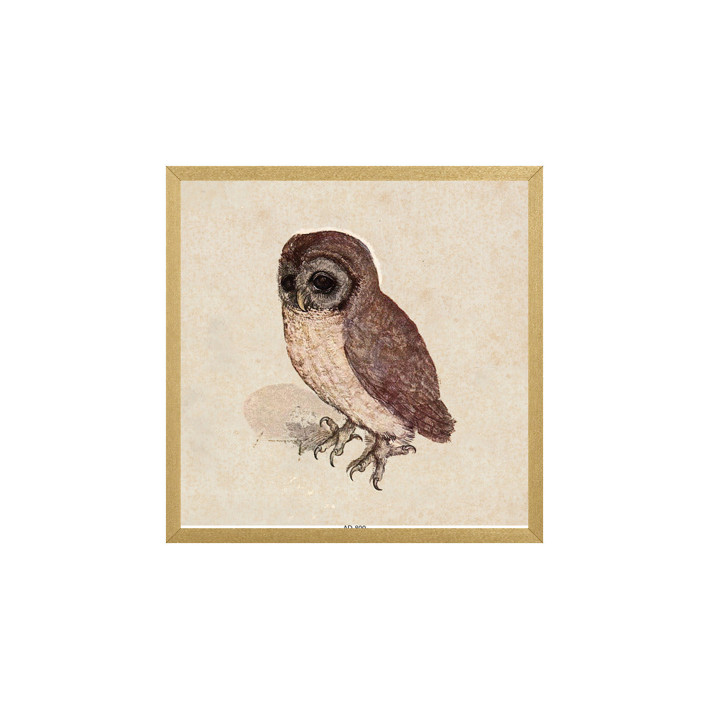 AD-800 in Metallic Gold Gallery Frame, BL