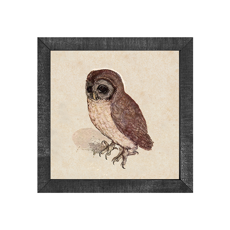 Vintage Owl