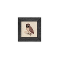 Gallery Frame