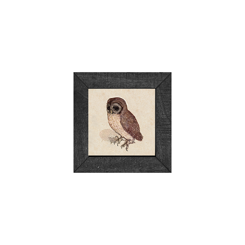 Vintage Owl
