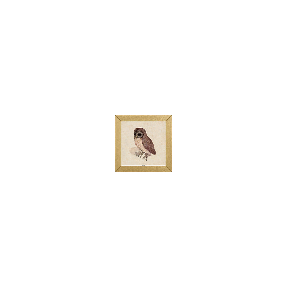 AD-800 in Metallic Gold Gallery Frame, S