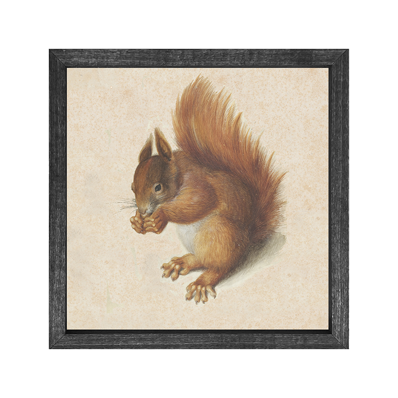 Vintage Squirrel