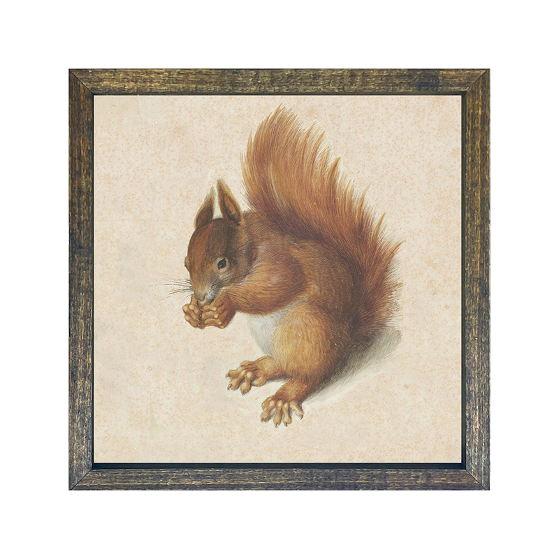 Vintage Squirrel