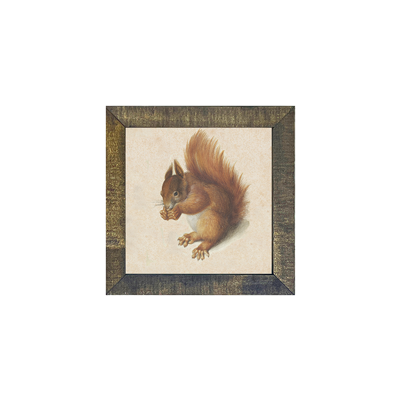 Vintage Squirrel