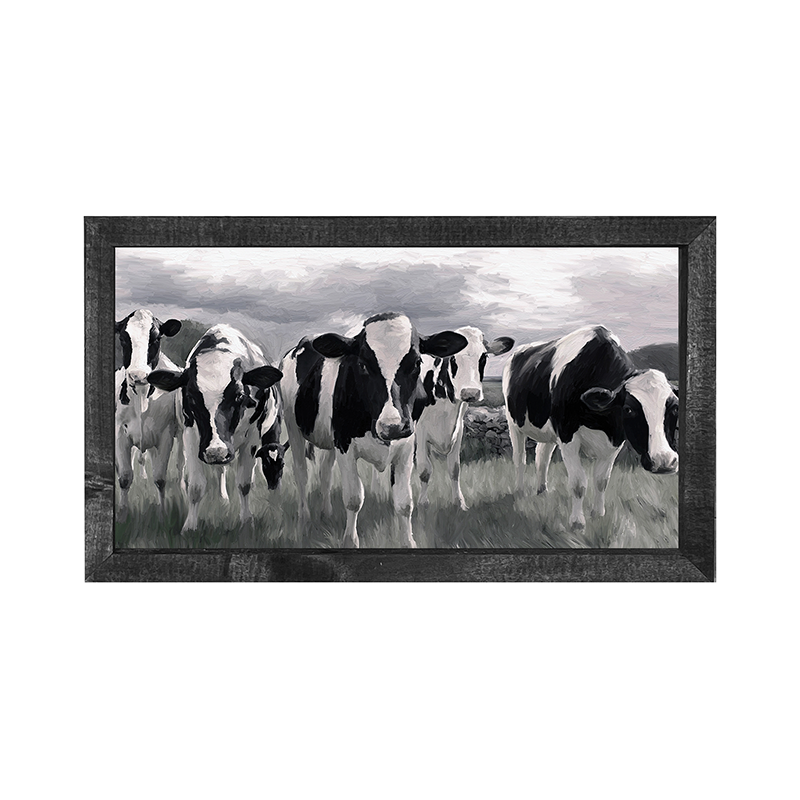 Herd of Heifers