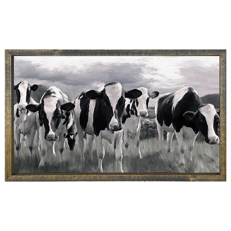 Herd of Heifers