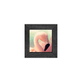 Gallery Frame