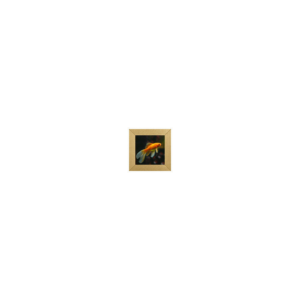 AD-905 in Metallic Gold Gallery Frame, M