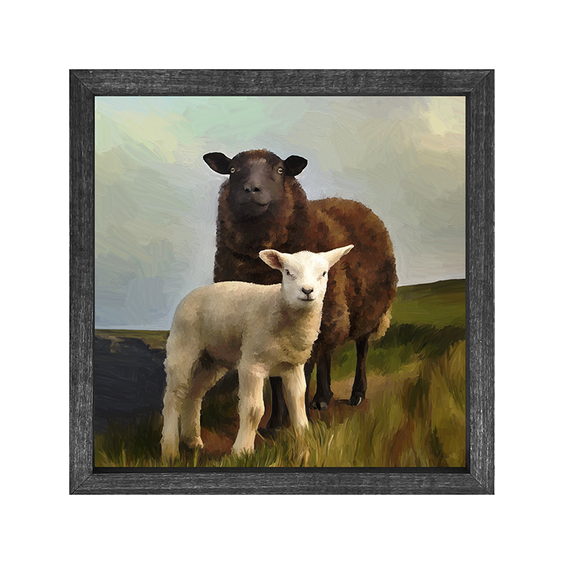 Two Sheep