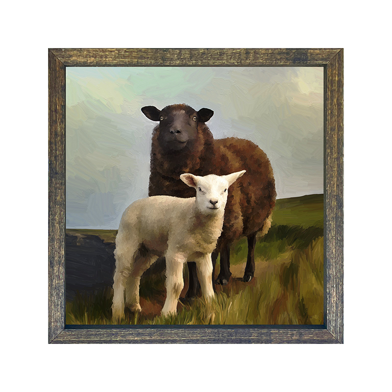 Two Sheep