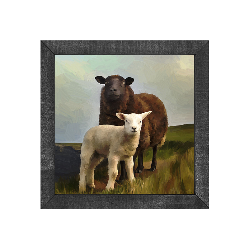Two Sheep